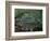 Blue Lagoon, Jamaica, Caribbean-Robin Hill-Framed Photographic Print