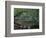 Blue Lagoon, Jamaica, Caribbean-Robin Hill-Framed Photographic Print