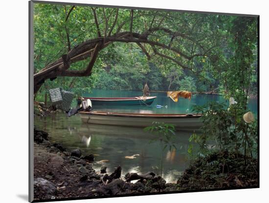 Blue Lagoon, Jamaica, Caribbean-Robin Hill-Mounted Photographic Print