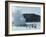 Blue Lagoon (Mineral Baths), Near Keflavik, Iceland, Polar Regions-Ethel Davies-Framed Photographic Print