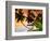 Blue Lagoon Resort Beach, Weno Centre, Micronesia-John Elk III-Framed Photographic Print