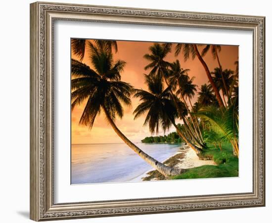 Blue Lagoon Resort Beach, Weno Centre, Micronesia-John Elk III-Framed Photographic Print