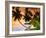 Blue Lagoon Resort Beach, Weno Centre, Micronesia-John Elk III-Framed Photographic Print