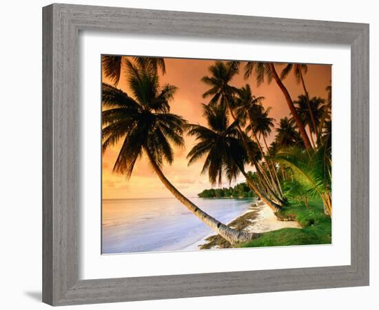 Blue Lagoon Resort Beach, Weno Centre, Micronesia-John Elk III-Framed Photographic Print