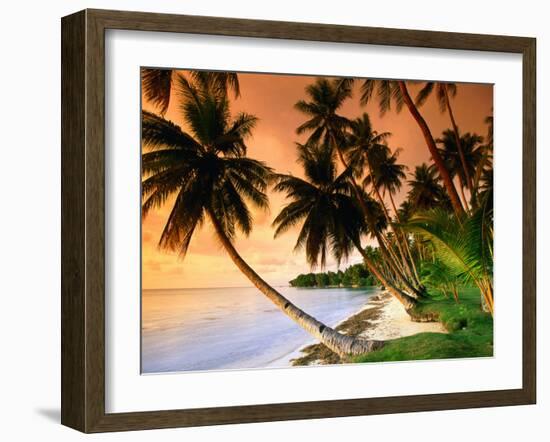 Blue Lagoon Resort Beach, Weno Centre, Micronesia-John Elk III-Framed Photographic Print