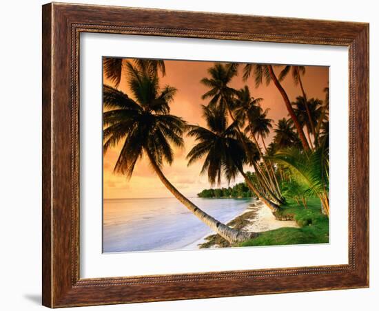 Blue Lagoon Resort Beach, Weno Centre, Micronesia-John Elk III-Framed Photographic Print