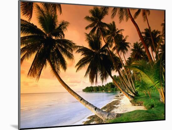 Blue Lagoon Resort Beach, Weno Centre, Micronesia-John Elk III-Mounted Photographic Print