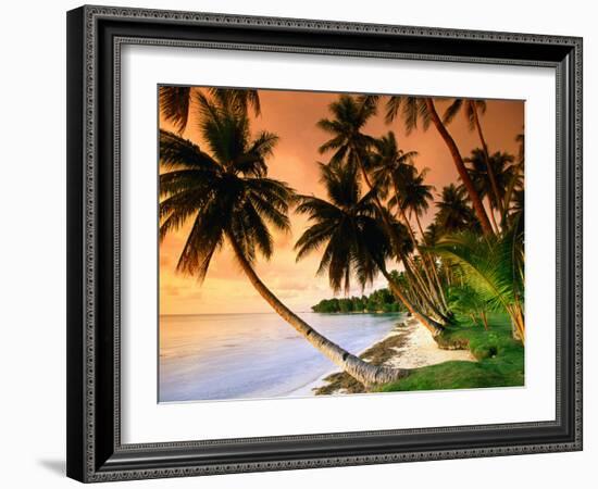 Blue Lagoon Resort Beach, Weno Centre, Micronesia-John Elk III-Framed Photographic Print