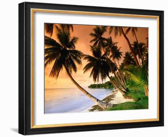 Blue Lagoon Resort Beach, Weno Centre, Micronesia-John Elk III-Framed Photographic Print