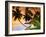 Blue Lagoon Resort Beach, Weno Centre, Micronesia-John Elk III-Framed Photographic Print