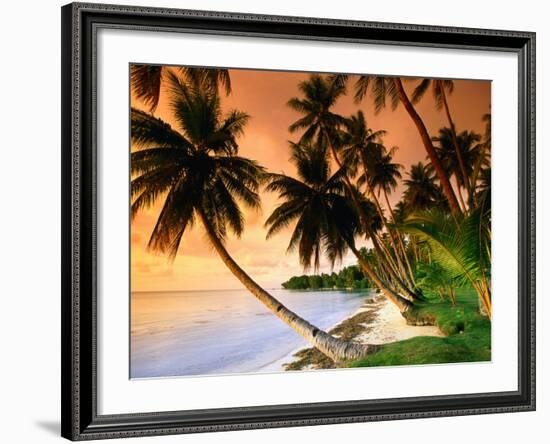 Blue Lagoon Resort Beach, Weno Centre, Micronesia-John Elk III-Framed Photographic Print