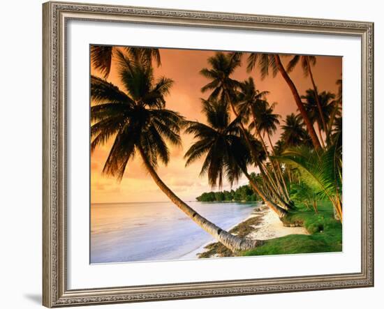 Blue Lagoon Resort Beach, Weno Centre, Micronesia-John Elk III-Framed Photographic Print