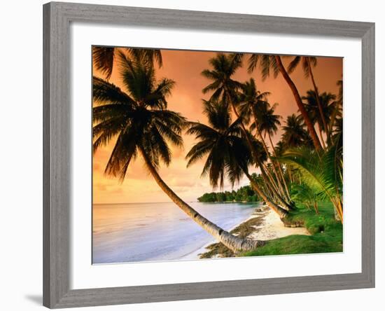 Blue Lagoon Resort Beach, Weno Centre, Micronesia-John Elk III-Framed Photographic Print