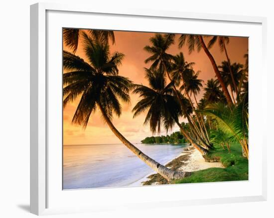 Blue Lagoon Resort Beach, Weno Centre, Micronesia-John Elk III-Framed Photographic Print