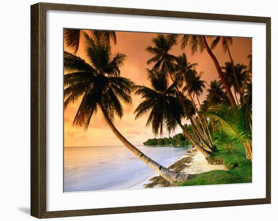 Blue Lagoon Resort Beach, Weno Centre, Micronesia-John Elk III-Framed Photographic Print