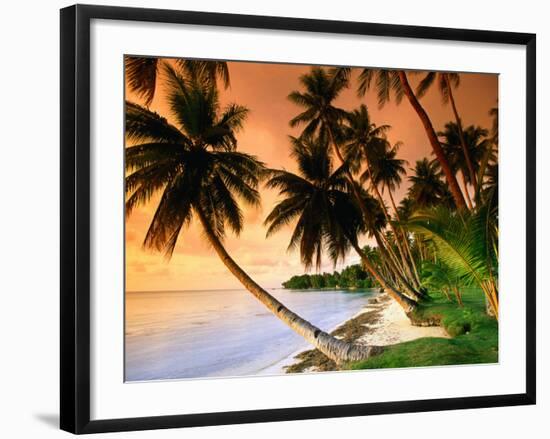 Blue Lagoon Resort Beach, Weno Centre, Micronesia-John Elk III-Framed Photographic Print