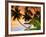 Blue Lagoon Resort Beach, Weno Centre, Micronesia-John Elk III-Framed Photographic Print