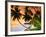 Blue Lagoon Resort Beach, Weno Centre, Micronesia-John Elk III-Framed Photographic Print