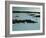 Blue Lagoon, Svartsengi, Iceland, Polar Regions-Robert Francis-Framed Photographic Print