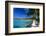 Blue Lagoon With Palm Trees, Aruba-George Oze-Framed Photographic Print