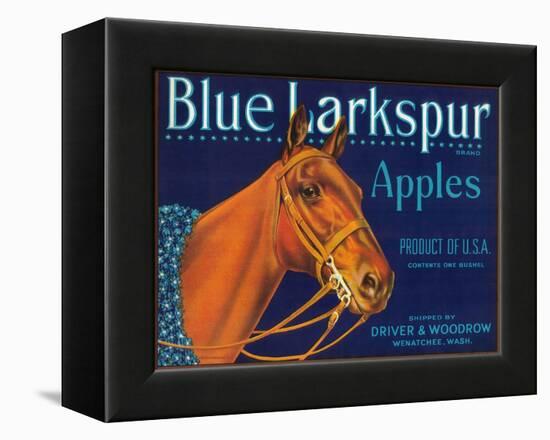 Blue Larkspur Apple Label - Wenatchee, WA-Lantern Press-Framed Stretched Canvas