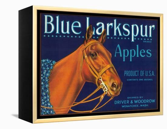 Blue Larkspur Apple Label - Wenatchee, WA-Lantern Press-Framed Stretched Canvas