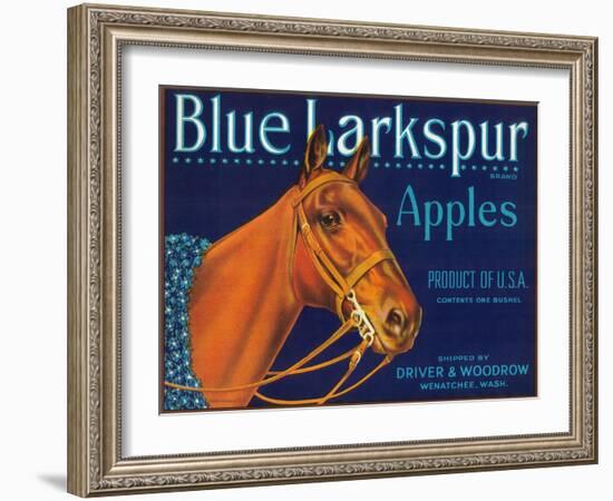 Blue Larkspur Apple Label - Wenatchee, WA-Lantern Press-Framed Art Print