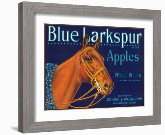 Blue Larkspur Apple Label - Wenatchee, WA-Lantern Press-Framed Art Print