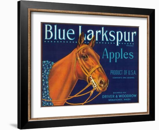 Blue Larkspur Apple Label - Wenatchee, WA-Lantern Press-Framed Art Print