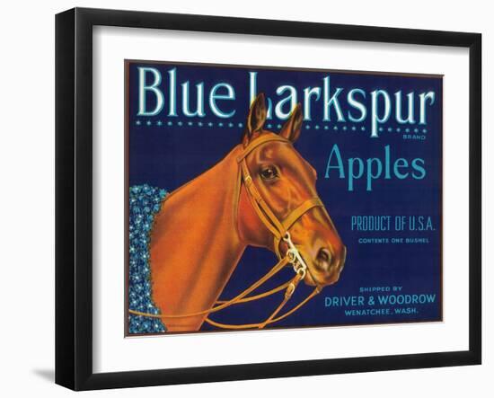 Blue Larkspur Apple Label - Wenatchee, WA-Lantern Press-Framed Art Print