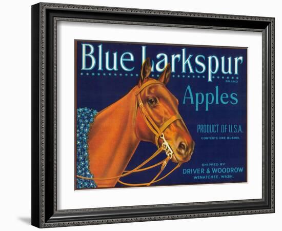 Blue Larkspur Apple Label - Wenatchee, WA-Lantern Press-Framed Art Print