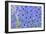 Blue Larkspur Flowers-Cora Niele-Framed Giclee Print