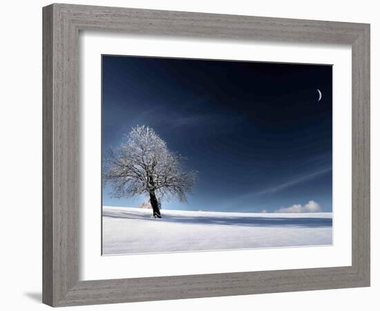 Blue Like Snow-Philippe Sainte-Laudy-Framed Photographic Print