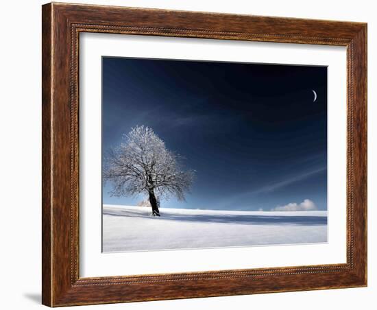 Blue Like Snow-Philippe Sainte-Laudy-Framed Photographic Print