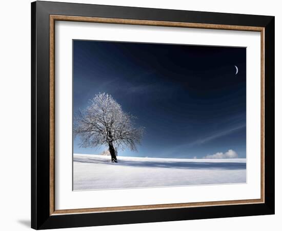 Blue Like Snow-Philippe Sainte-Laudy-Framed Photographic Print