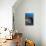 Blue Linckia Starfish-Georgette Douwma-Premium Photographic Print displayed on a wall