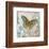 Blue Linen Butterfly-Alan Hopfensperger-Framed Art Print