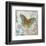 Blue Linen Butterfly-Alan Hopfensperger-Framed Art Print