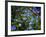 Blue Little Flowers-Istv?n Nagy-Framed Photographic Print