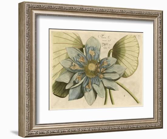 Blue Lotus Flower I-null-Framed Art Print