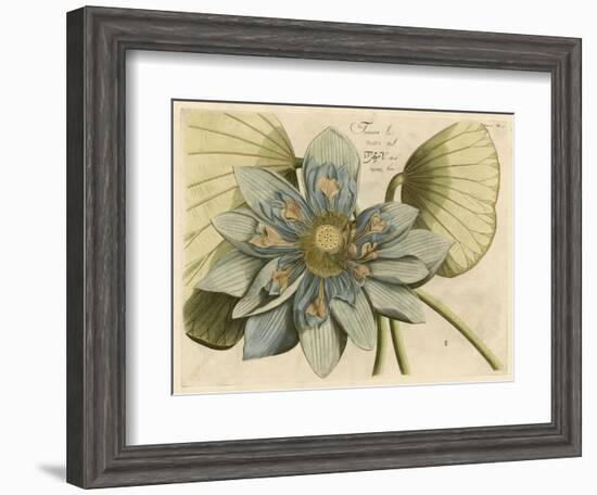 Blue Lotus Flower I-null-Framed Art Print