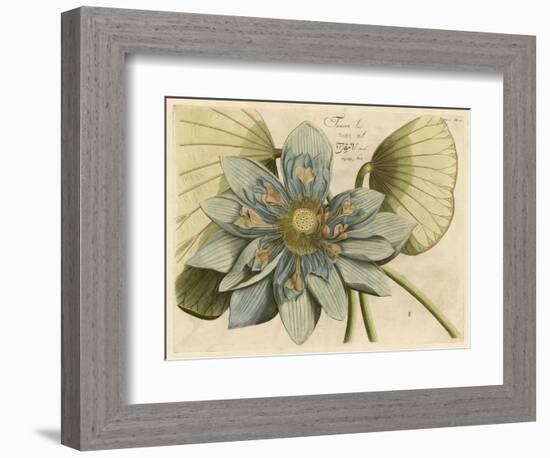 Blue Lotus Flower I-null-Framed Art Print