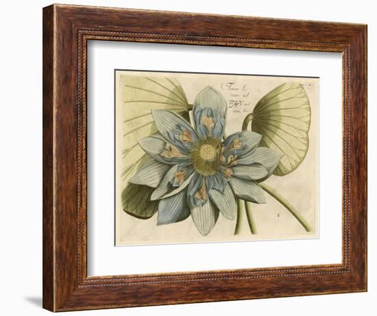 Blue Lotus Flower I-null-Framed Art Print