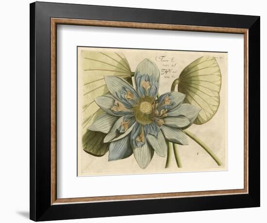 Blue Lotus Flower I-null-Framed Art Print