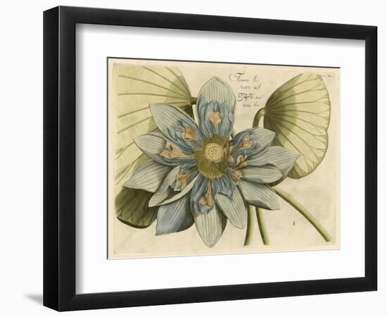 Blue Lotus Flower I-null-Framed Art Print