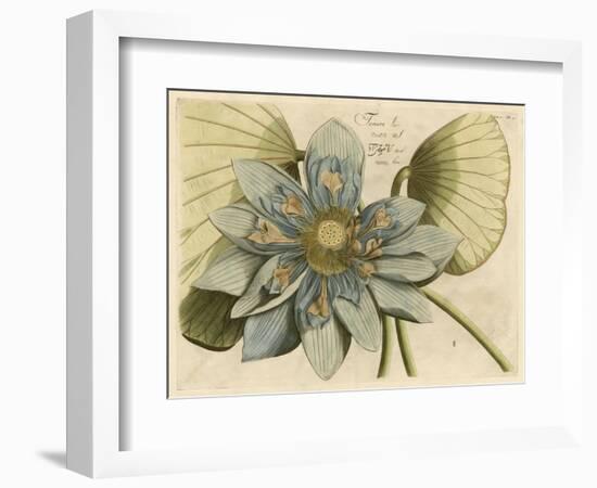 Blue Lotus Flower I-null-Framed Art Print