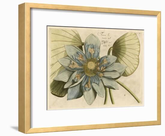 Blue Lotus Flower I-null-Framed Art Print