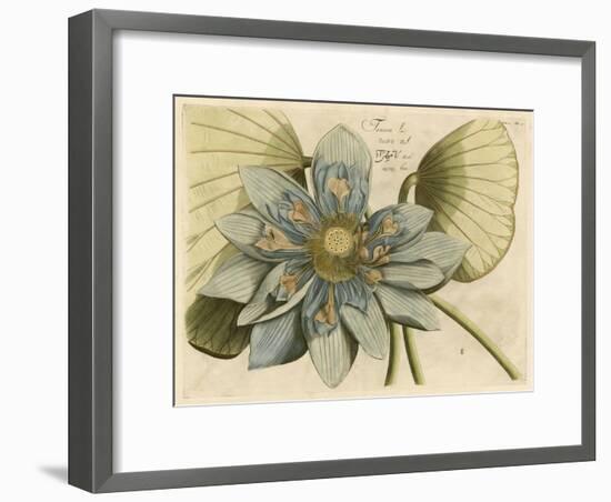 Blue Lotus Flower I-null-Framed Art Print