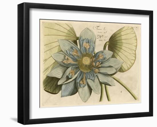 Blue Lotus Flower I-null-Framed Art Print