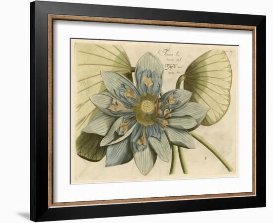 Blue Lotus Flower I-null-Framed Art Print